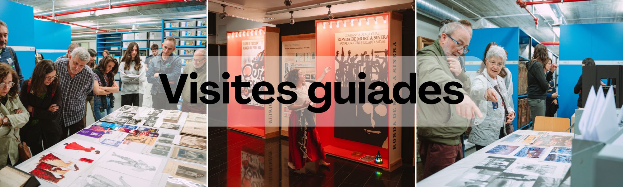 Visites guiades MAE.