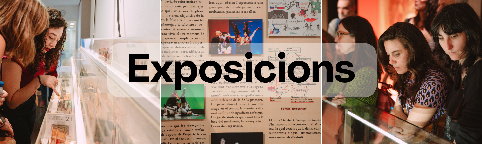 Exposicions MAE.