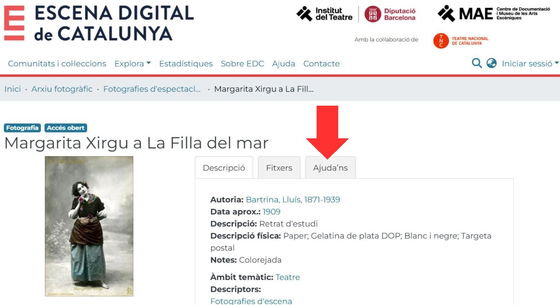 Apartat Ajuda'ns d'Escena Digital de Catalunya