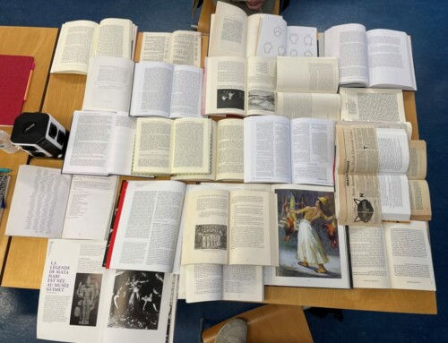 Recerca artística a la biblioteca del MAE