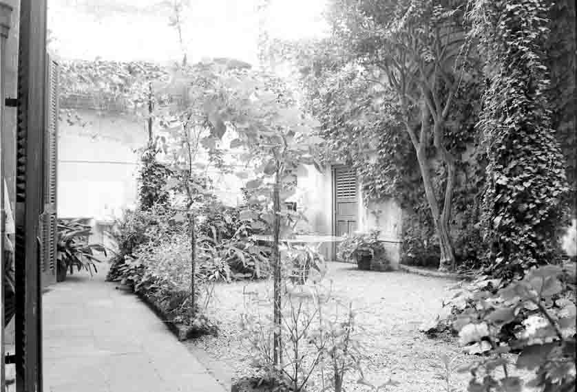 El jardí dels cinc arbres de la residència d'estiu de Salvador Espriu